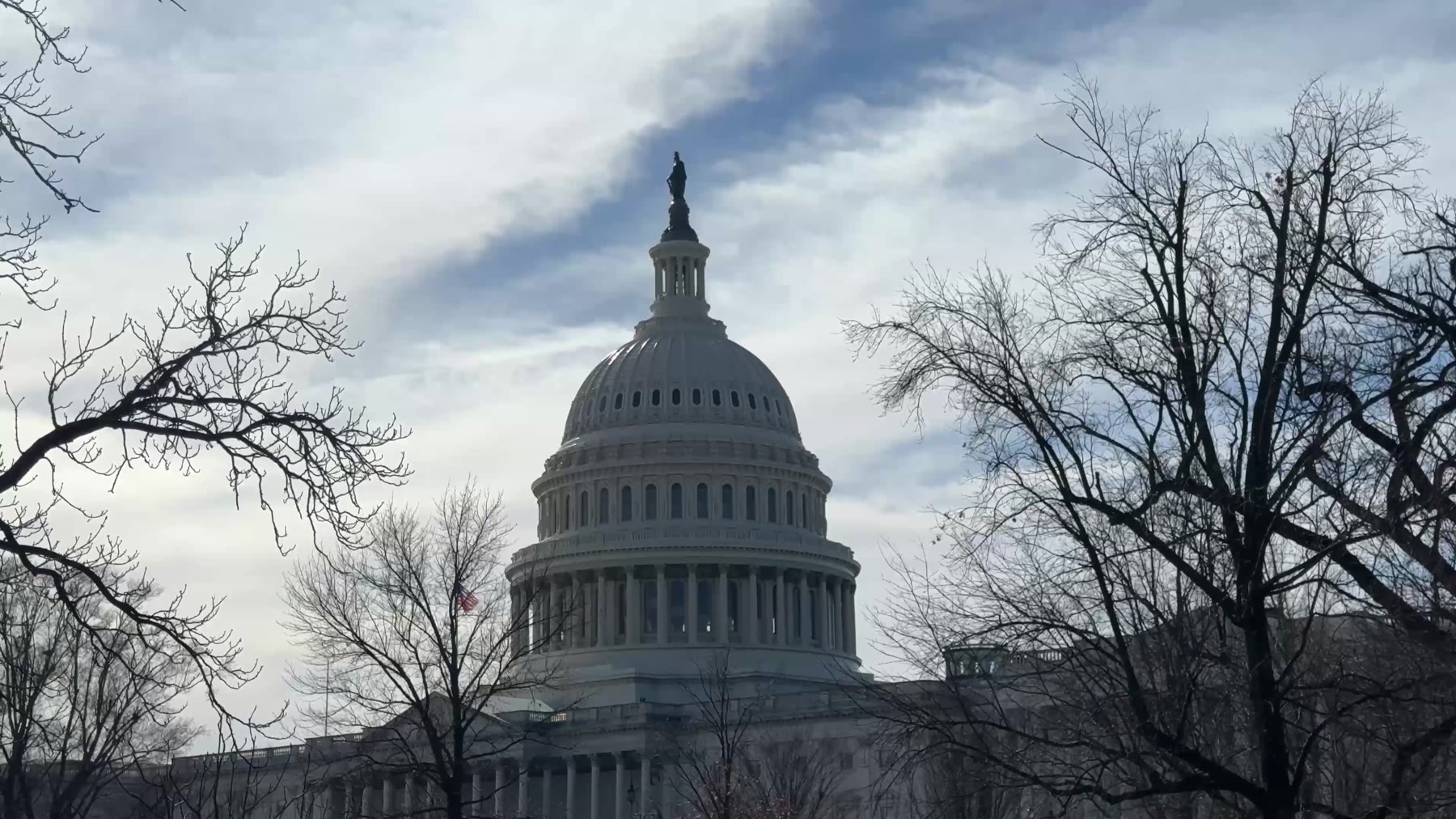 The U.S. Capitol dome framed by bare winter trees